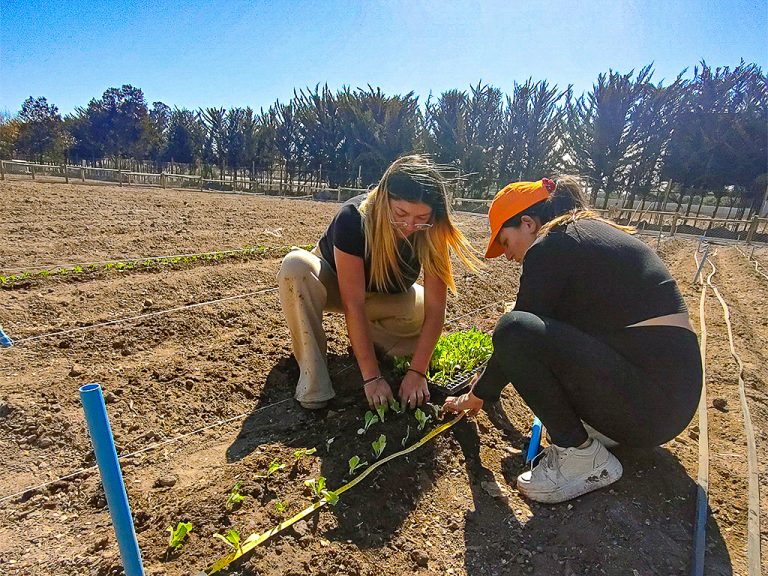 Estudiantes de la Escuela de Agronomía de UDLA disponen de más de 5.300 m² de infraestructura para trabajos prácticos