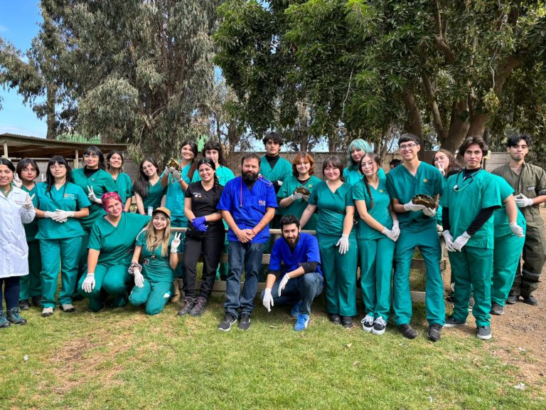 Estudiantes y académicos de la carrera de Medicina Veterinaria de la Sede Viña del Mar UDLA conforman grupo de voluntariado para acciones en beneficio de la comunidad