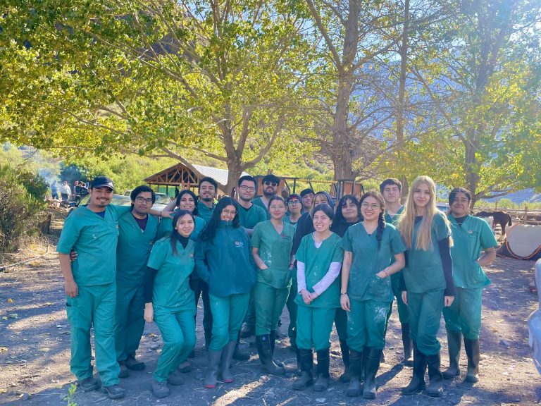 Más de 3.500 pacientes atendidos y la participación de 250 estudiantes en los primeros operativos veterinarios de UDLA en 2024