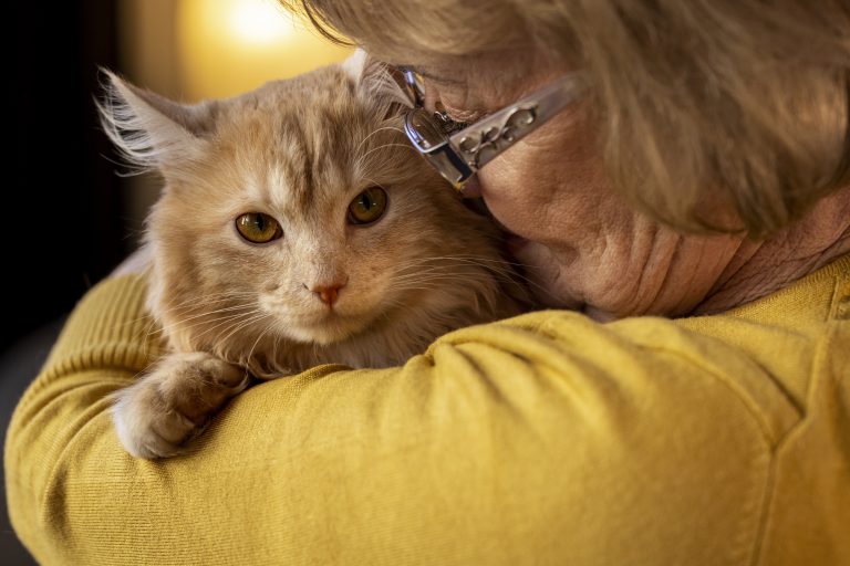 Con énfasis en la ética y el bienestar animal, Escuela de Medicina Veterinaria UDLA realiza charla “Cómo mejorar la experiencia de la eutanasia”
