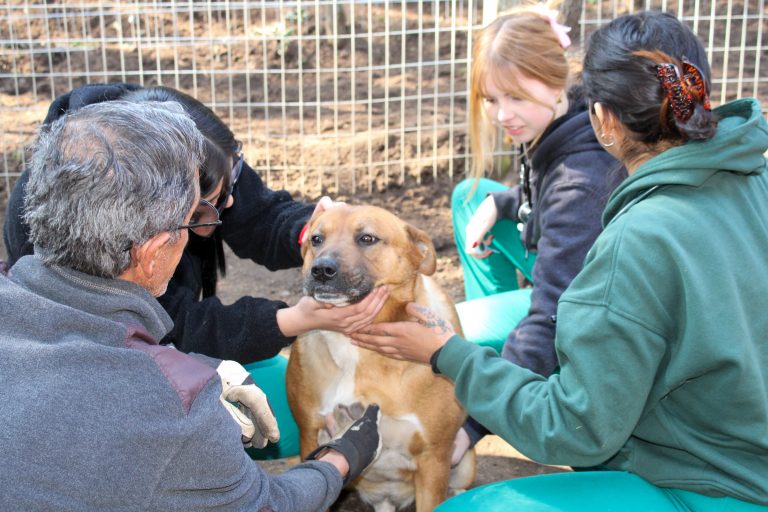 Estudiantes de Campus La Florida realizan exitoso operativo en refugio de la Fundación Ayuda Callejeros