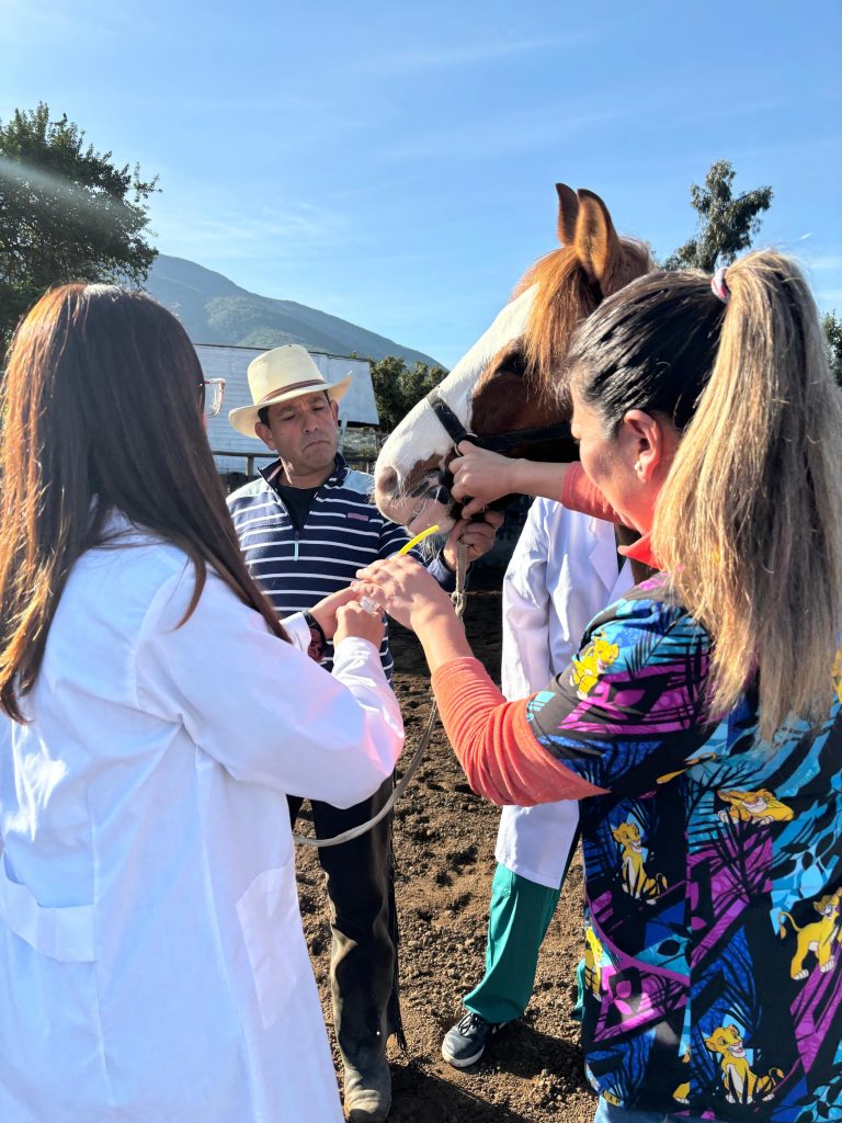 Carrera de Medicina Veterinaria de Campus Los Castaños impulsa diversos operativos en la comunidad con la participación de estudiantes de primer año