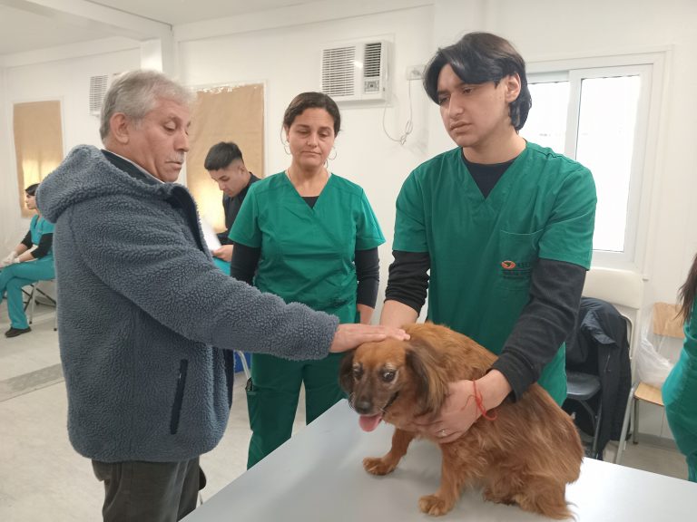 Más de un centenar de mascotas atendidas en operativos médico veterinarios en zonas afectadas por los incendios en la Región de Valparaíso