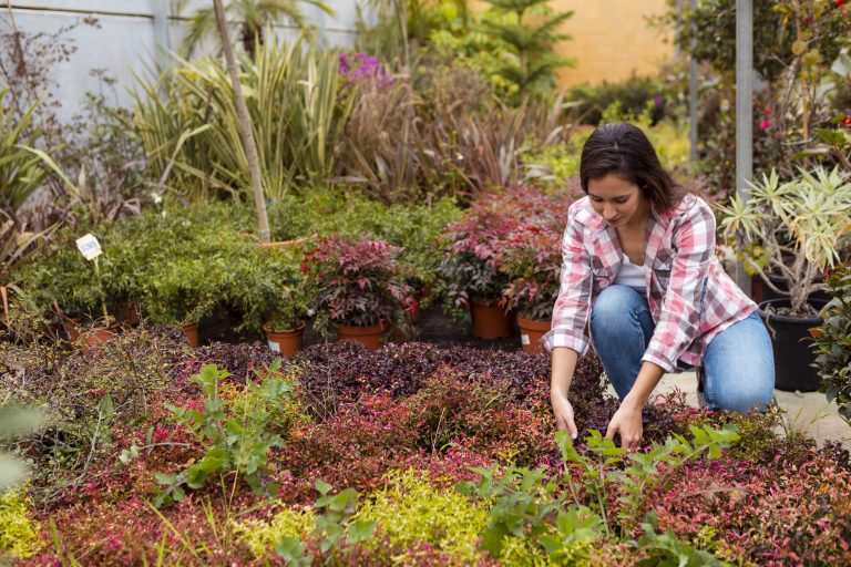 Escuela de Agronomía realiza actividad para promover alternativas de producción más amigables con el medio ambiente