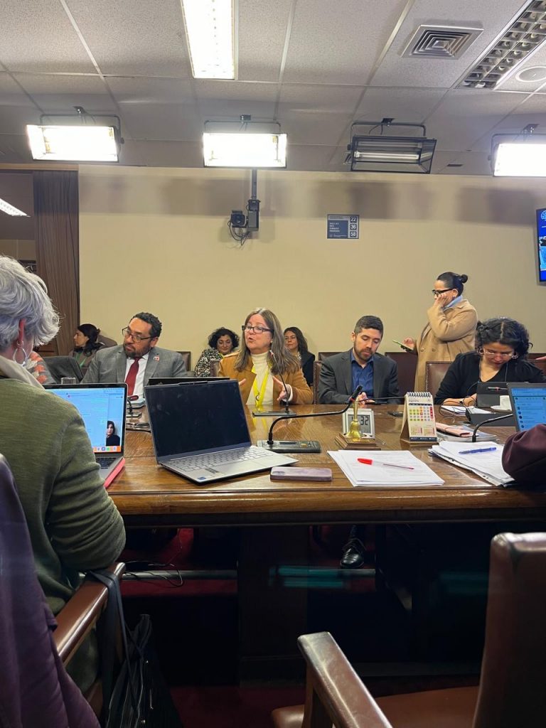 Decana de la Facultad de Educación participa en sesión de la Comisión de Educación de la Cámara de Diputados