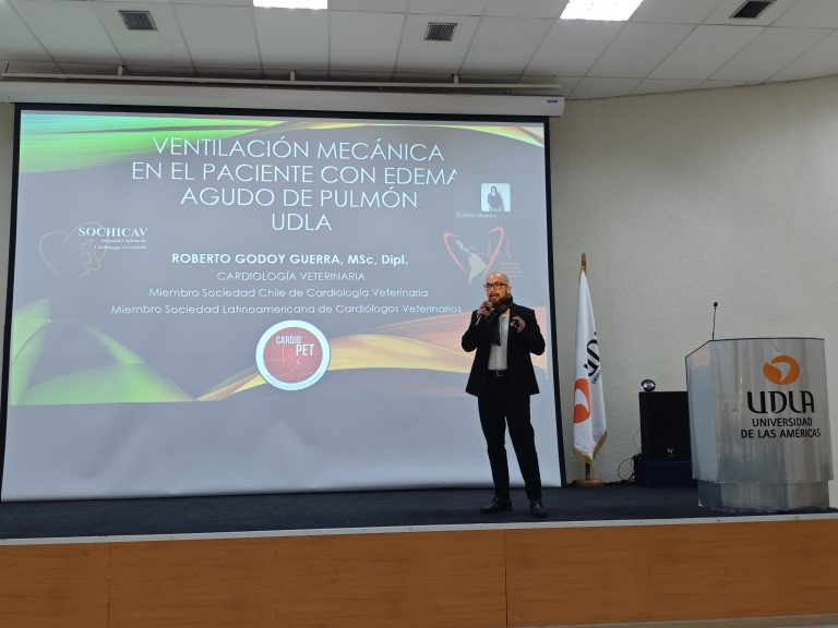 Escuela de Medicina Veterinaria realiza jornada orientada a profundizar en cardiología y bienestar animal en Campus Maipú