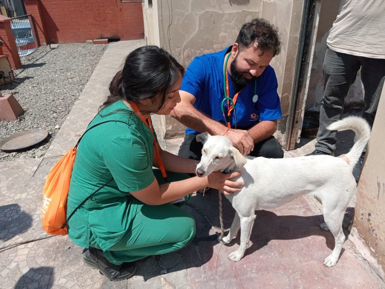 Vinculación con el Medio: Universidad de Las Américas comprometida con el desarrollo sostenible del país