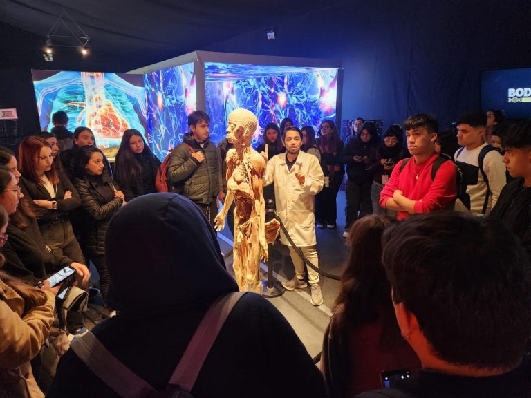 Estudiantes de Nutrición y Dietética visitan la exposición “Bodies Evolution”