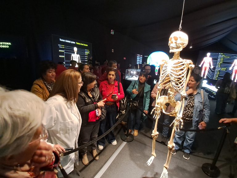 Vecinas participantes de la Escuela Territorial Sol Poniente visitan exposición Bodies Evolution