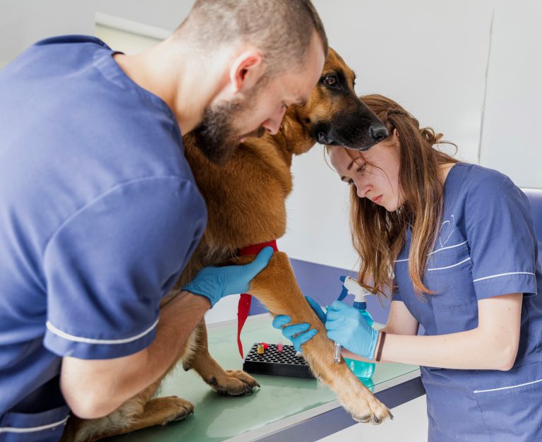 Con enfoque en la calidad educativa concluye segundo Proceso de Autoevaluación de la carrera de Técnico de Nivel Superior Veterinario UDLA