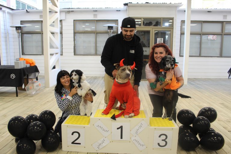 Más de 30 mascotas lucieron sus disfraces de Halloween en concurso organizado por la carrera de Medicina Veterinaria