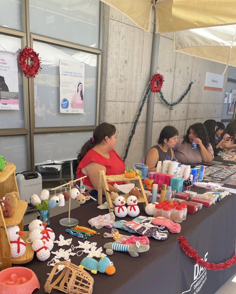 Bazar Navideño DAE 2024 de Sede Santiago impulsa emprendimiento y participación estudiantil