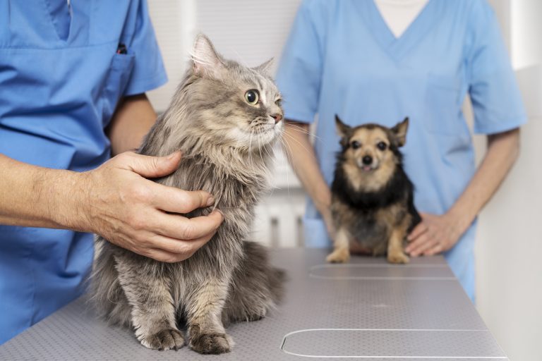 IV Jornada Internacional de Medicina Veterinaria de UDLA profundizó en la endocrinología animal