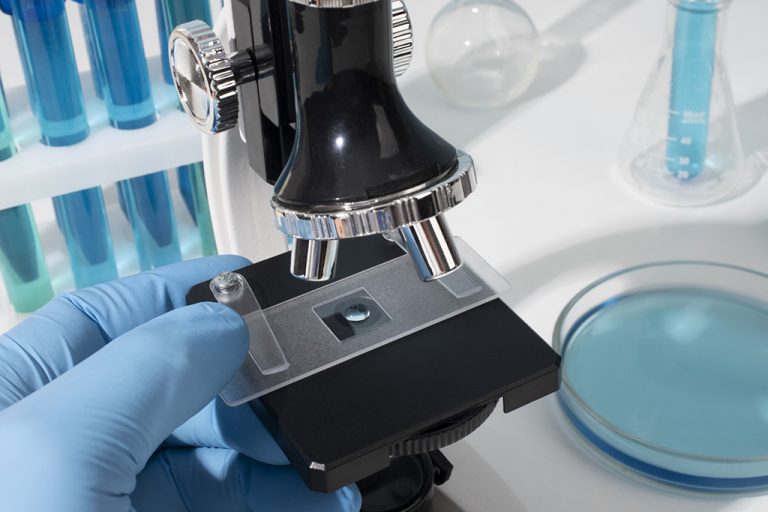 Con enfoque en el fortalecimiento de la investigación aplicada surge nuevo Magíster en Ciencias Biológicas y Químicas de UDLA