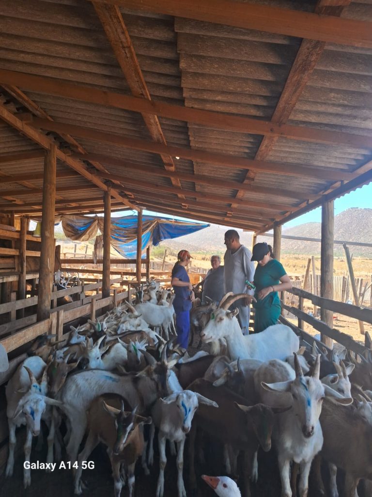 Comuna de Punitaqui recibe a estudiantes de la Escuela de Medicina Veterinaria UDLA en su  tradicional gira al norte
