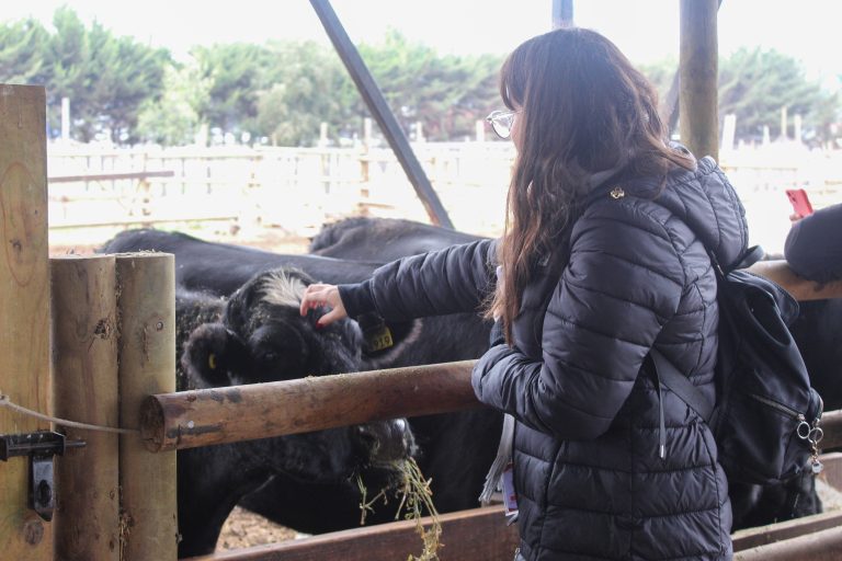 Adolescentes de la Residencia El Encuentro visitan Campus Melipilla