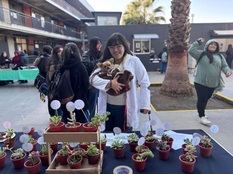 Estudiantes de Sede Santiago celebran el Mes del Medio Ambiente con actividades creativas y sostenibles