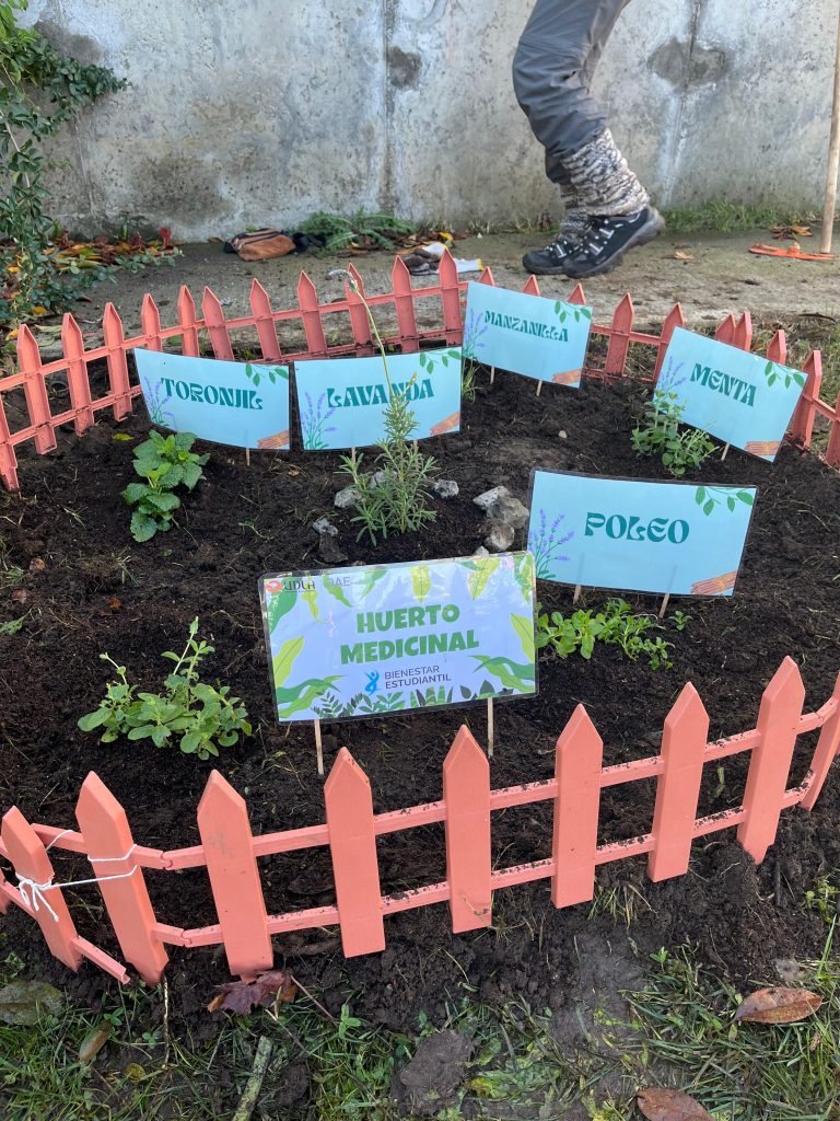 Taller de Huerto Medicinal promueve la salud, el aprendizaje y conexión con la naturaleza en el Campus El Boldal