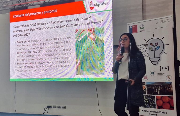 UDLA colabora en innovador sistema de bajo costo para detección viral en especies Prunus en Chile