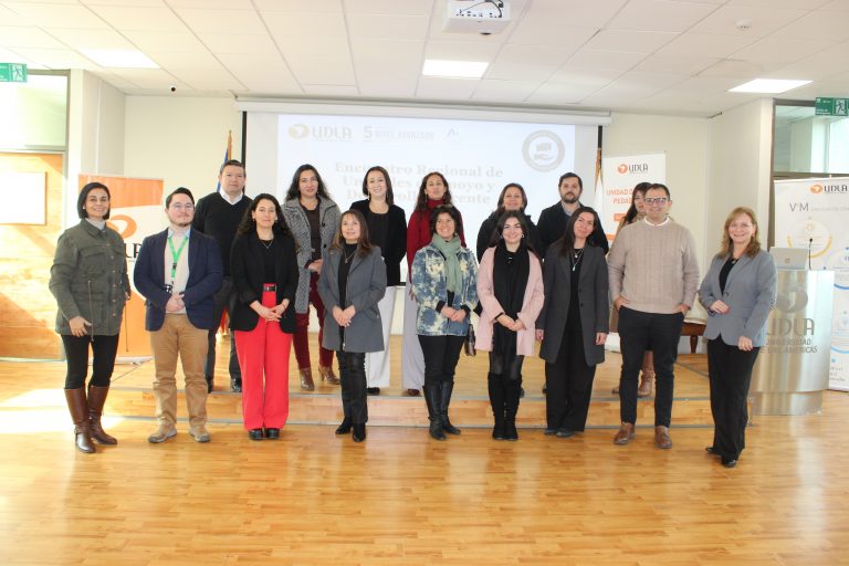 Unidad de Apoyo Pedagógico de Sede Viña del Mar convoca a instituciones de educación superior para crear red regional de desarrollo docente