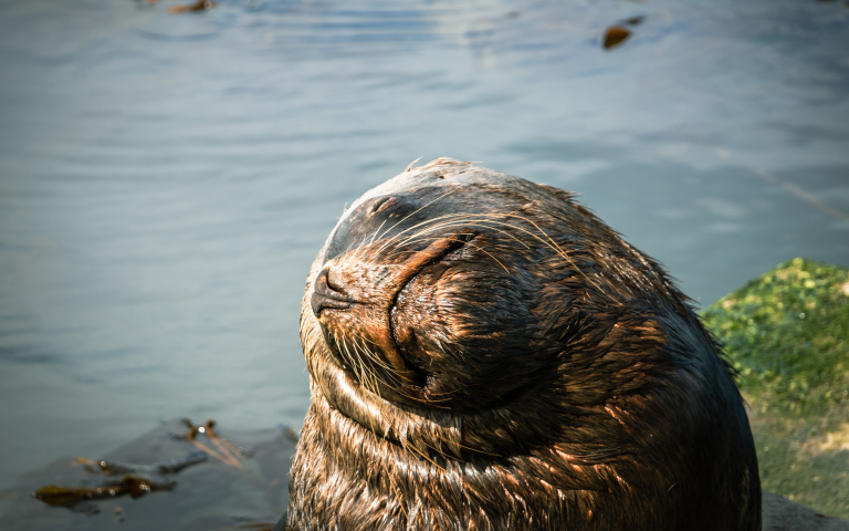 Última semana para postular al 3er concurso fotográfico “Identidad y Cultura del Biobío” de UDLA Sede Concepción