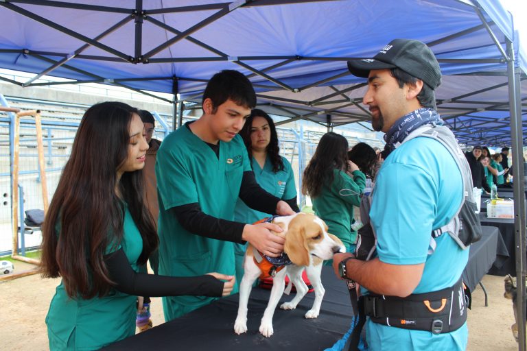 Carrera de Medicina Veterinaria del Campus Los Castaños realiza operativos en Dog Running y con animales mayores en Olmué