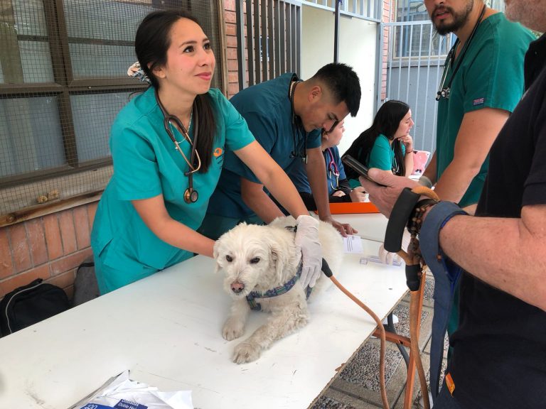 Proyecto de salud comunitaria en Maipú une a Veterinaria UDLA y juntas de vecinos bajo enfoque “Un Mundo – Una Salud” 