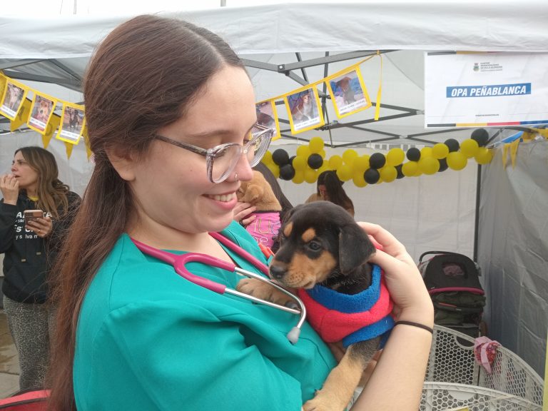 Estudiantes de Medicina Veterinaria de UDLA atienden a más de 350 mascotas en Expo Mundo Canino de Villa Alemana