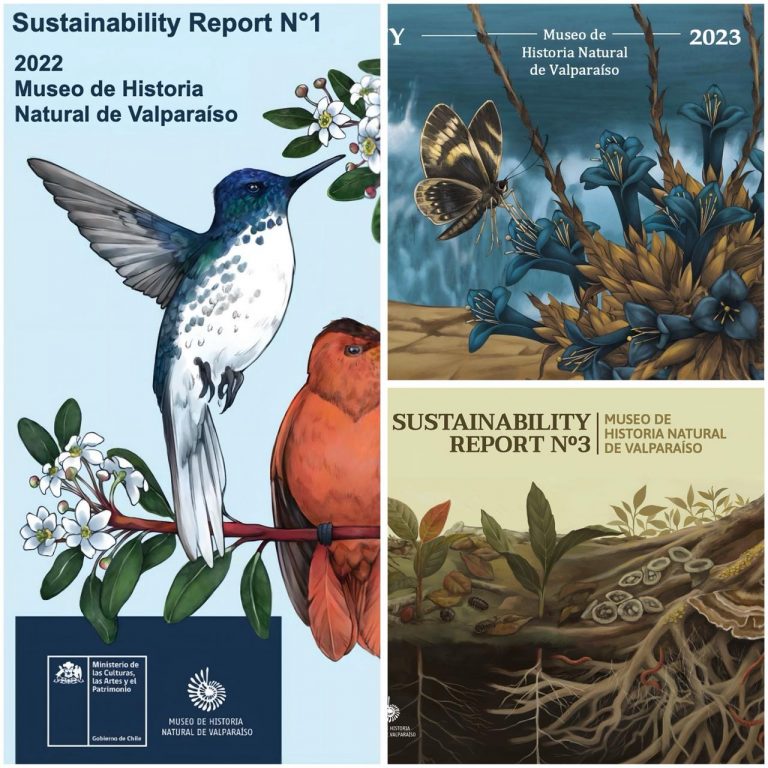 Estudiantes de la Escuela de Traducción e Interpretación en Inglés de UDLA colaboran con el Museo de Historia Natural de Valparaíso