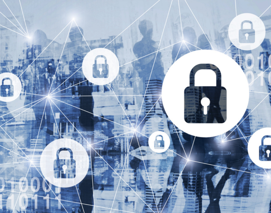 Facultad de Ingeniería y Negocios de UDLA y PMI Santiago Chapter reflexionan sobre la Ley 21.663 y los desafíos de la ciberseguridad en Chile