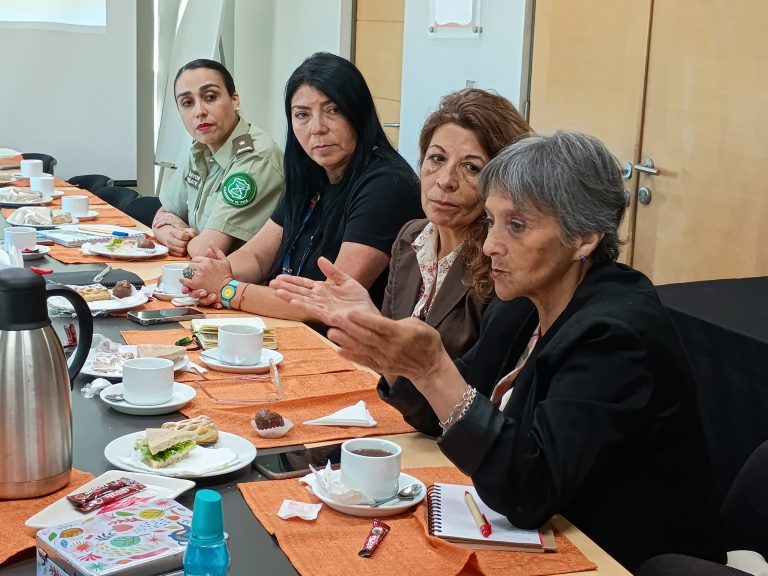 UDLA, organismos regionales y vecinos coordinan jornada de simulación y preparación ante incendios forestales en Villa La Pradera en Viña del Mar