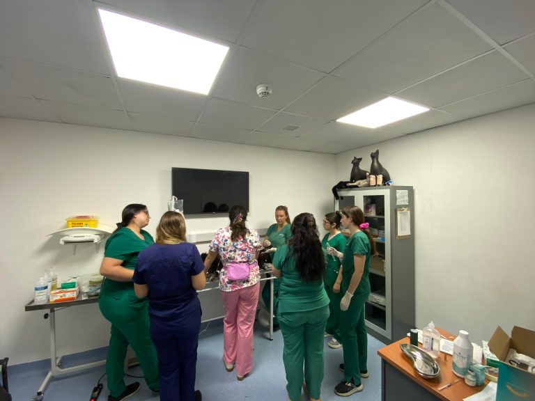 UDLA brinda atención veterinaria a mascotas afectadas por incendios forestales y habilita centros de acopio