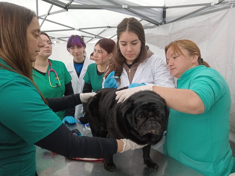Facultad de Medicina Veterinaria y Agronomía UDLA realiza cierre anual de proyectos de Vinculación con el Medio 2025