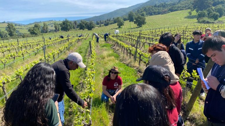 Egresada de FAVA María Francisca Poblete: formar desde la tierra para transformar comunidades
