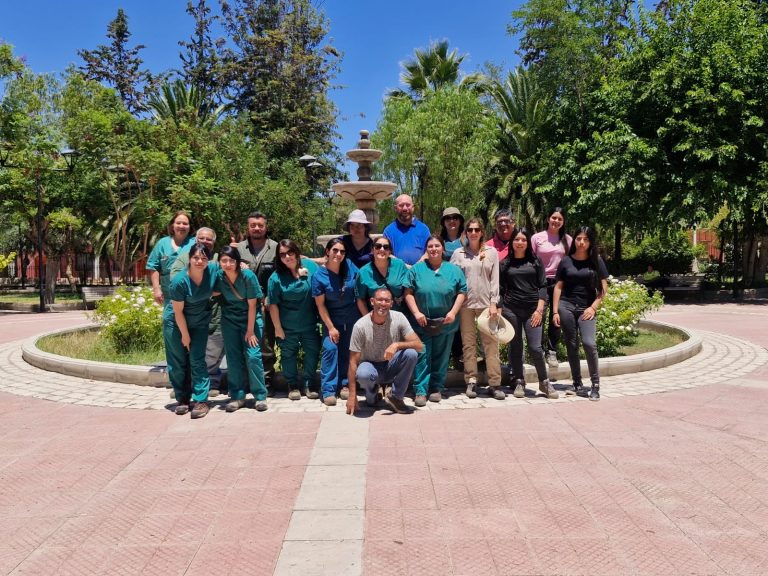 Operativo con estudiantes y académicos UDLA fortalece la salud animal en Punitaqui