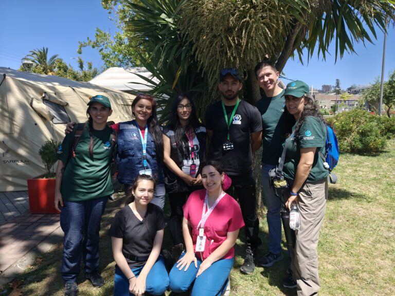 Sede Concepción facilita hospital veterinario de campaña para atender a mascotas afectadas por los incendios en Biobío