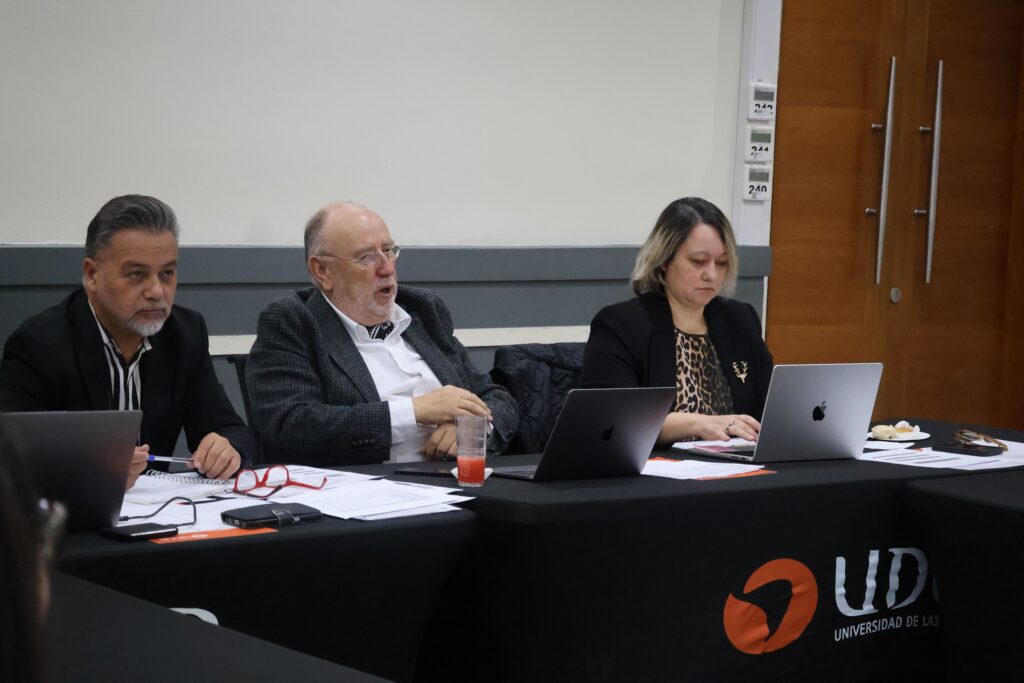 Auditoria interna con pares externos FINE UDLA