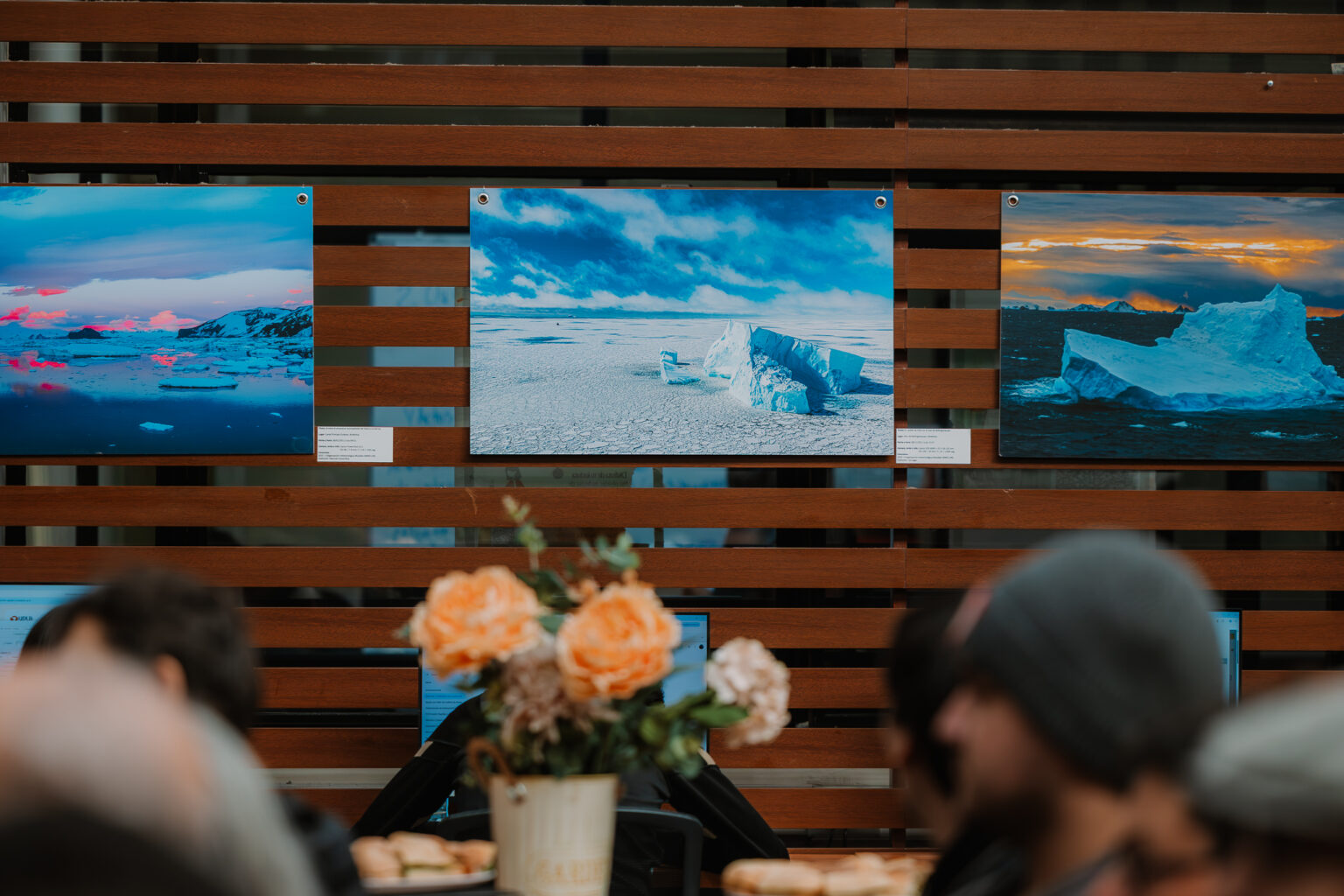 Sede Concepción de UDLA celebra el Mes del Mar con exposición ...
