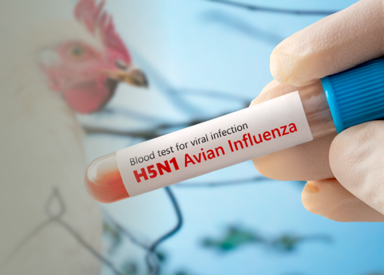 Charla FAVA aborda la influenza aviar H5N1 y sus desafíos para Chile