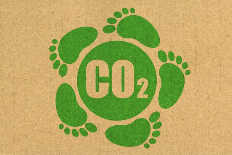 Universidad de Las Américas completa medición integral de su huella de carbono y fortalece su estrategia de sostenibilidad