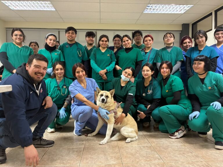 Huellas con Sentido: DAE y Escuela de Medicina Veterinaria de Universidad de Las Américas organizan jornada de vacunación a animales menores en Campus Santiago Centro