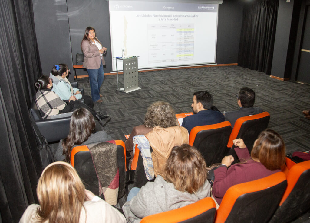 Seminario Saneamiento ambiental de suelos en Chile