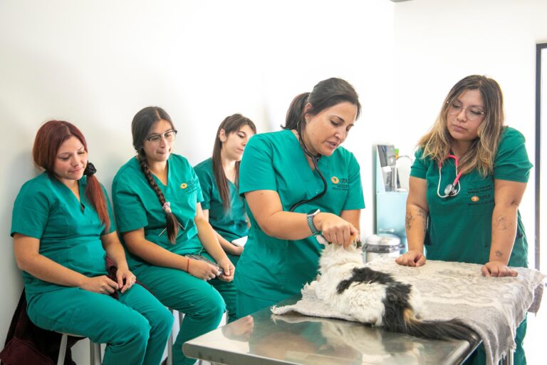 Mejora continua: así evalúa Universidad de Las Américas la calidad de sus facultades, carreras y programas