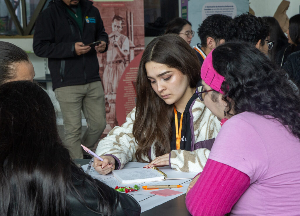 Consultoría Ingeniería Comercial Modelo de Negocios Emprendedores de Quinta Normal