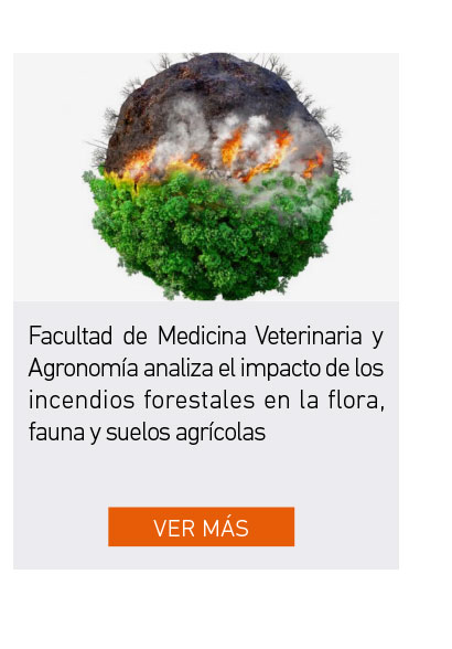 UDLA - Universidad de Las Am&eacute;ricas