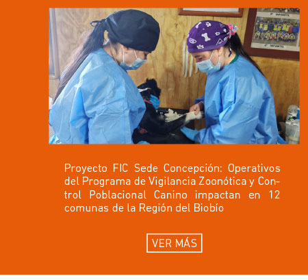Proyecto FIC Sede Concepci&oacute;n: Operativos del Programa de Vigilancia Zoon&oacute;tica y Control Poblacional Canino impactan en 12 comunas de la Regi&oacute;n del Biob&iacute;o