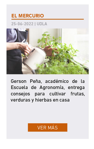 UDLA - Universidad de Las Am&eacute;ricas
