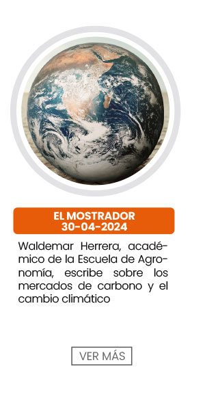 Waldemar Herrera, acad&eacute;mico de la Escuela de Agronom&iacute;a, escribe sobre los mercados de carbono y el cambio clim&aacute;tico