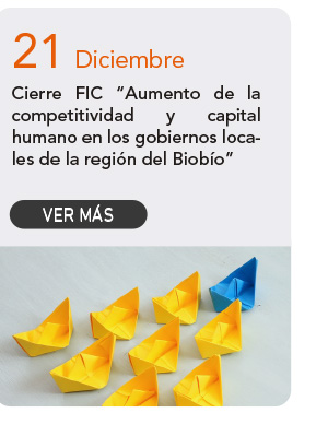 Cierre FIC &ldquo;Aumento de la competitividad y capital humano en los gobiernos locales de la regi&oacute;n del Biob&iacute;o&rdquo;