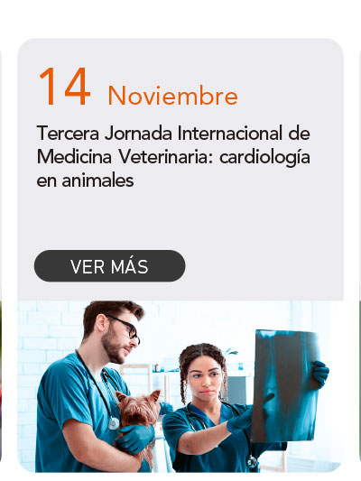 Universidad de Las Am&eacute;ricas